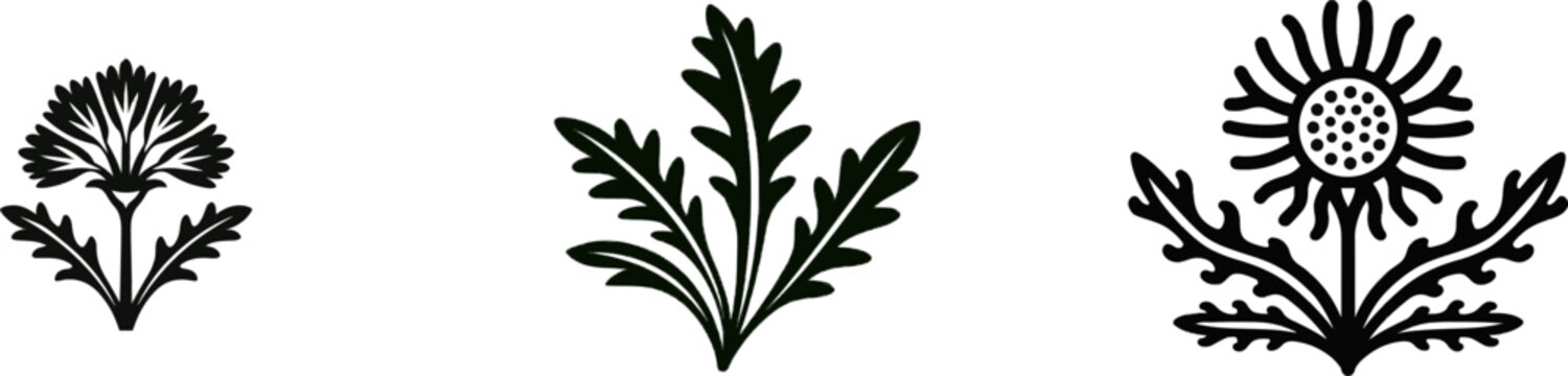 A bold black dandelion seedling graphic with clean, sharp contours stands isolated against a pure white background, embodying the essence of simplicity and clarity in botanical design