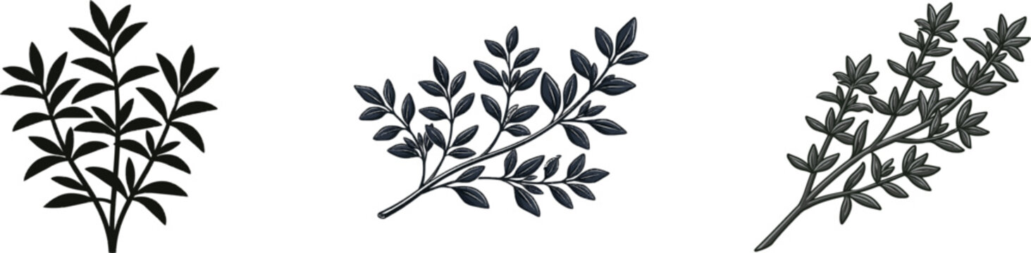 A bold black silhouette of a thyme herb bunch on a pure white background, in vector sticker style with clean sharp contours and high contrast