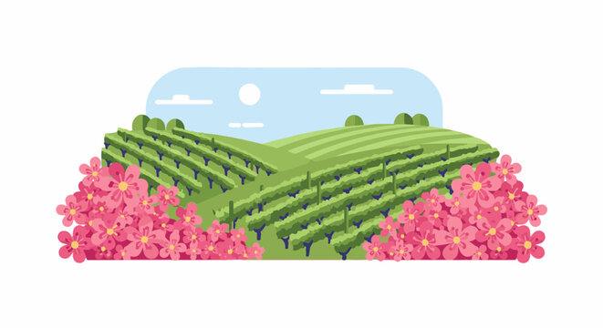 Rolling green hills covered with vineyards and bright pink blossoms under a sunny sky