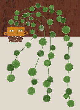Hand drawn String of Pearls houseplant in pot