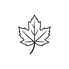 Fototapeta premium Simple Black Line Drawing of a Maple Leaf Icon
