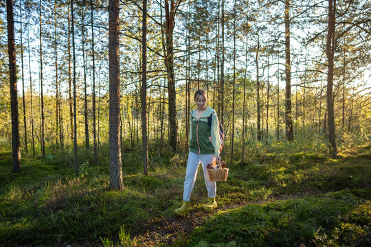 Middle aged calm woman walking in autumn pine forest, looks around, collecting wild fungi in wicker basket. Mushroom foraging. Loving nature purity. Active outdoor recreation