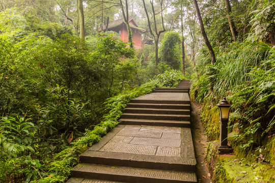 Path in Giant Buddha scenic area in Leshan, Sichuan province, China