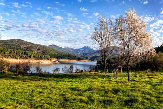 Prmavera en el embalse de El Atazar