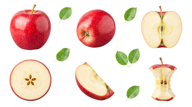 Dynamic red apple display showing whole fruit, half, quarter slice, crisp leaves, and an apple core.