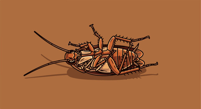 A brown cockroach lies on its back, legs splayed out, on a brown surface