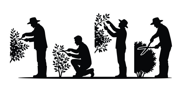 Gardener silhouette icon set with people trimming hedge and pruning bushes with shears isolated on white background
