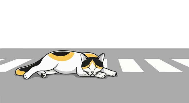 A calico cat sleeps peacefully on a pedestrian crossing