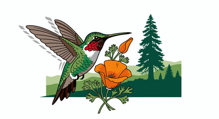 Obraz premium A hummingbird hovers near an orange poppy bloom with trees in the background