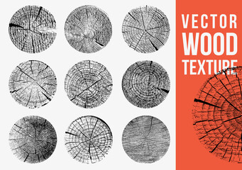 Obraz premium Tree stump prints with wooden silhouettes, concentric rings set. Annual wood textures, cross section tree ring pattern for natural design collection. Cross section of tree stump slice with age ring
