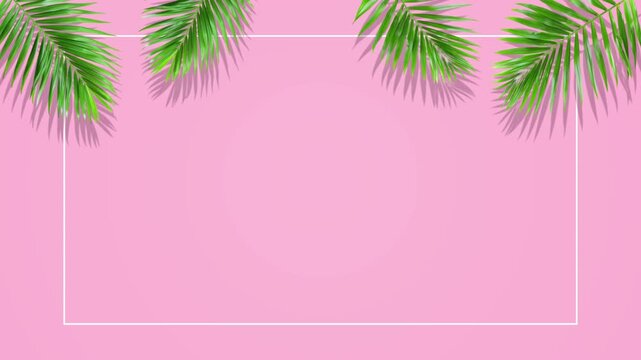 tropical leaves with rectangle frame on soft pink animation,cosmetics and beauty sale blank social media motion background