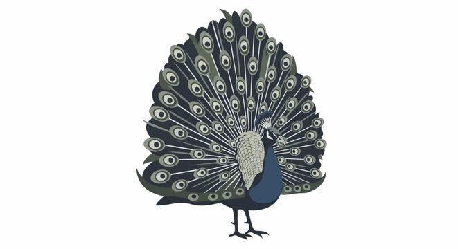 Stylized peacock displays its elaborate train of eye-spotted feathers