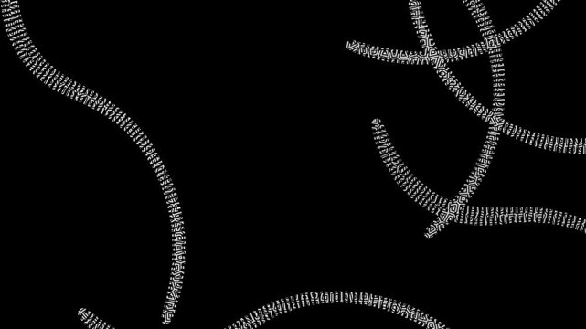 Dynamic Binary Code and Numeric Data Streams Moving on Black Background