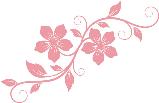 Pink floral design with flowers and leaves on white background