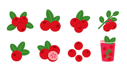 Set of red berry icons with green leaves and drink glass © Alan