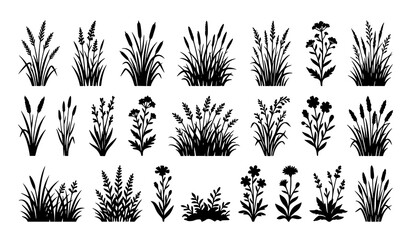 Grass and Meadow Flora Silhouette Collection Vector Natural Botanical Elements © MstChufia