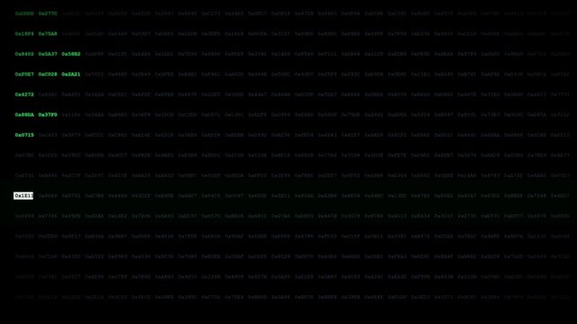 Deep Web Decryption Matrix Brute Force Glitch