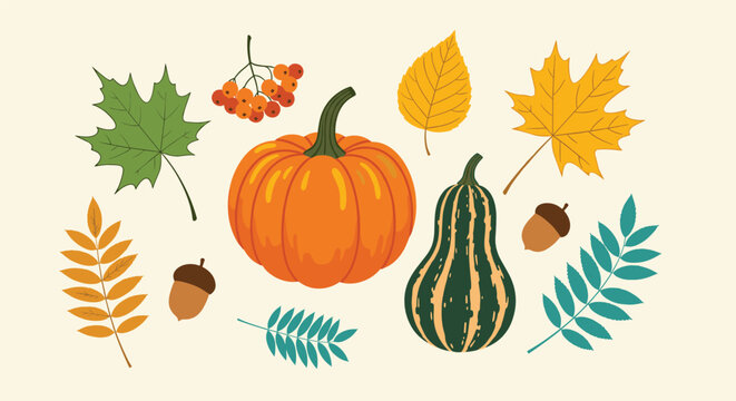 Autumn harvest collection of colorful pumpkins, squash, maple leaves, acorns, and berries on a light neutral background.