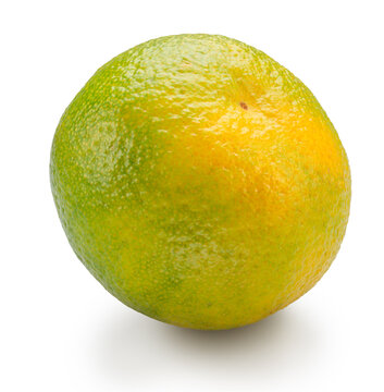 Green tangerine isolated on white background. File contains clipping paths.