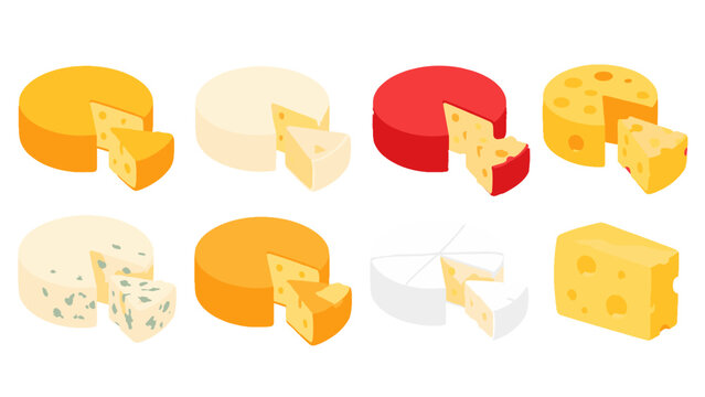 Set of assorted cheese wheels and wedges in vector style