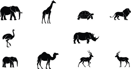 Wild Animal Silhouette Collection Featuring Elephant Giraffe Turtle Rhinoceros Camel Antelope and Ostrich Vector Set © SREEMOTISHAMOLI