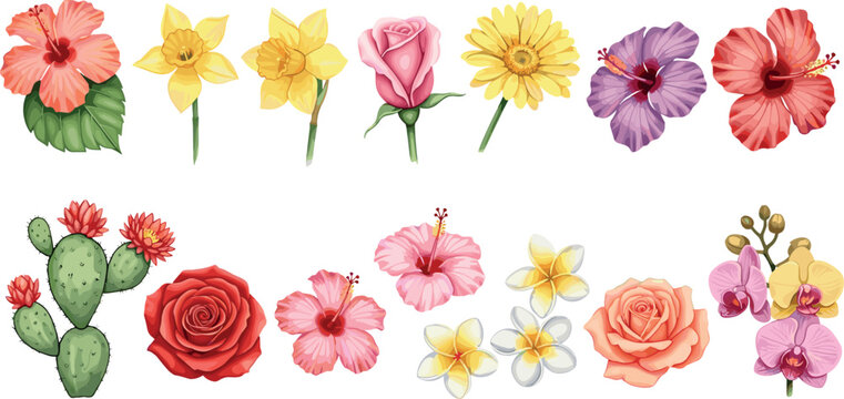 Watercolor Floral Vector Elements Set with Colorful Tropical Flowers and Cactus Blossoms for Wedding Invitations, Greeting Cards, and Pattern Designs