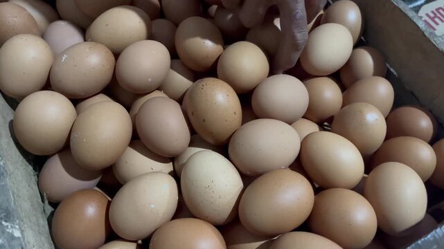 Full frame of fresh brown chicken eggs background