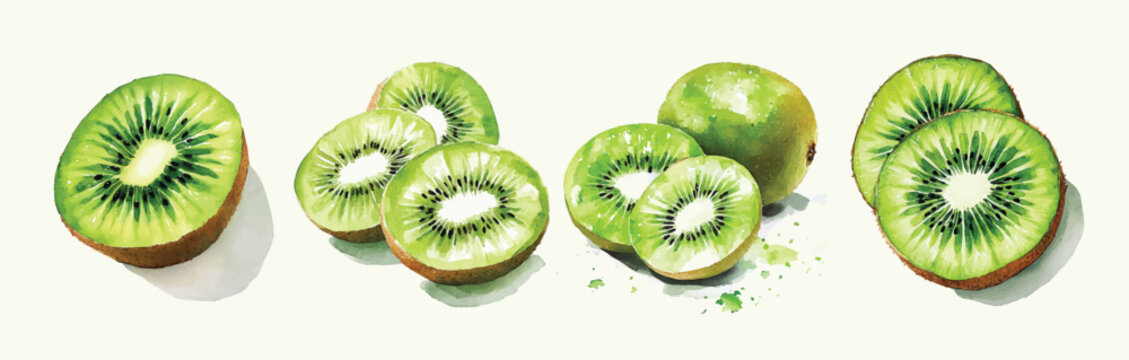 Kiwi slices fruit set, Beautiful Kiwi set, painting design set. Simple Design drawing, Hand-painted style, vectorized, vector set available in EPS. Illustrator Artwork