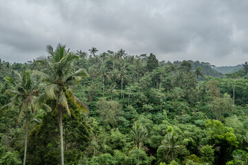 Naklejka premium View over the jungle in Indonesia