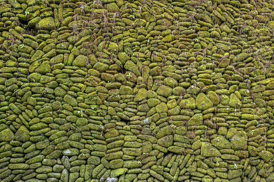 Stone wall covered with moss