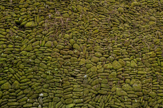 Stone wall covered with moss