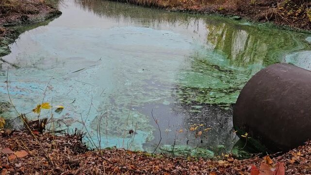 Industrial pipe discharging toxic waste into polluted river with chemical film closeup