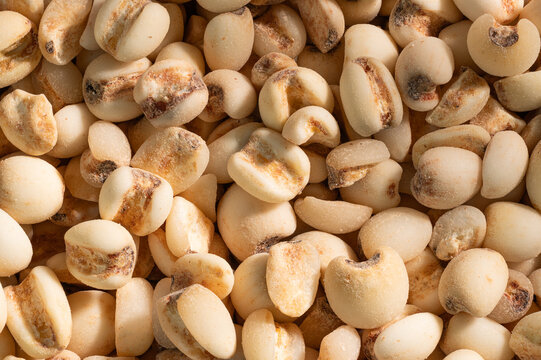 High-Resolution full frame texture of raw adlay coix seeds ultra sharp extreme detail
