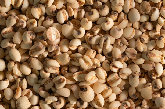 High-Resolution macro pattern of organic adlay barley seeds ultra sharp extreme detail