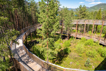 Treetop walkway in Hamaren Activity Park in Fyresdal, Norway © Tom Richards