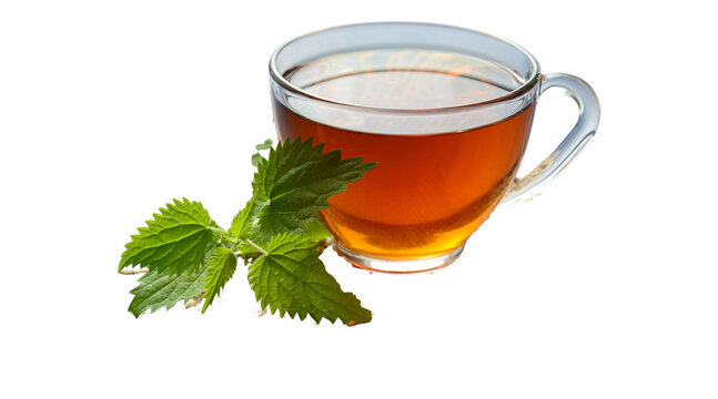 green tea, tea, herbal tea  PNG on Transparent background