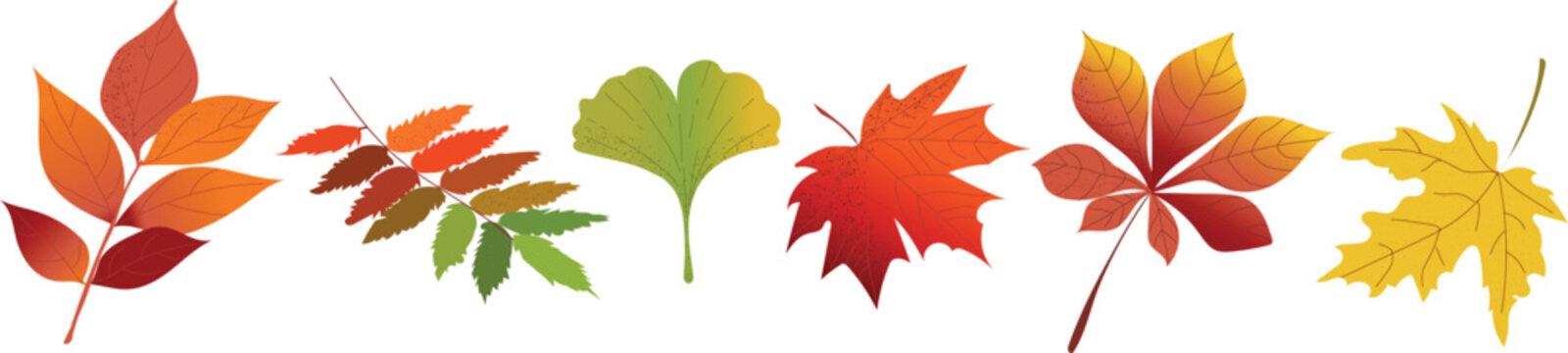 Autumn leaves vector set isolated on white background. Detailed colorful fall foliage elements with noise texture for Thanksgiving, autumn design, and seasonal decoration.