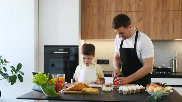 Caucasian man and boy cooking in a contemporary kitchen, chopping vegetables and arranging ingredients on a wooden cutting board