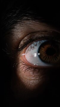 Close up eye brown iris human eye fear horror low key dark macro detail expression closeup human eye brown iris pupil shadow dramatic macro view