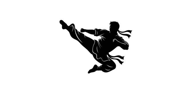 Martial artist silhouette in dynamic pose on transparent background