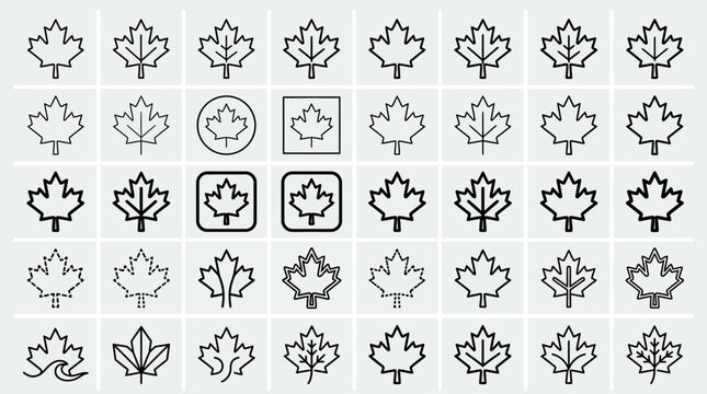 Collection of various maple leaf line art icons.