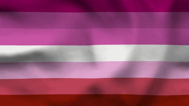 Lesbian Pride Flag Variant Textured Background