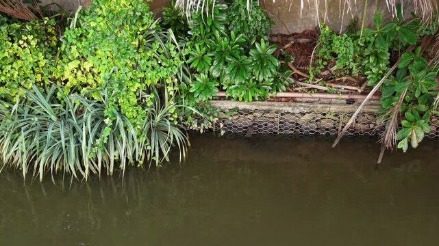 Aerial view of Mahamodara Lake featuring dense tropical greenery along the water edge and stone gabion retaining walls Galle, Southern Province, Sri Lanka.