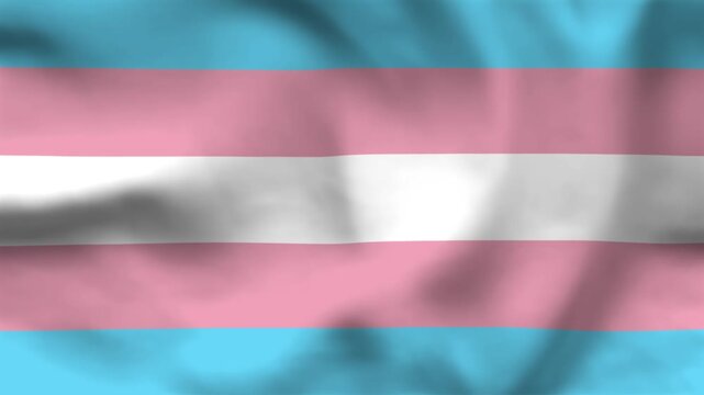 Transgender Pride Flag Wavy Fabric Texture