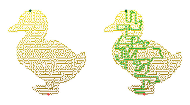 Duck shaped maze puzzle with solution. Easter holiday labyrinth printable game for kids. Educational activity worksheet