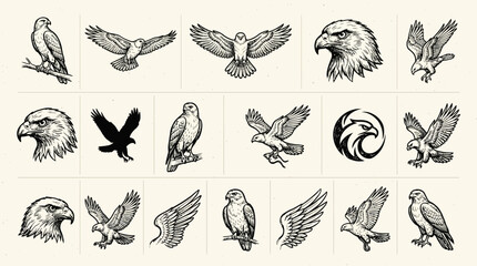 Obraz premium Set of eagle and hawk sketches for emblems and logos.