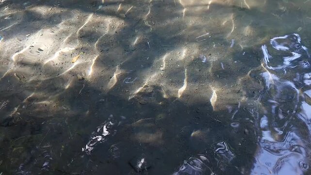 Natural Water Ripple Texture and Light Reflection, Clear River Water Surface with Sunlight Reflection Background