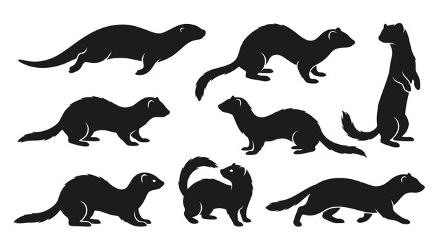 Detailed black vector illustration set featuring various poses of cute furry ferrets in motion design
