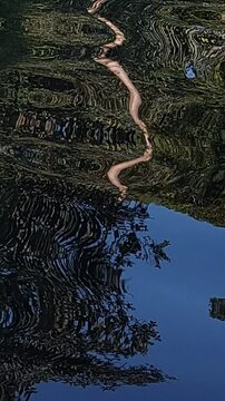 Natural Water Ripple Texture and Light Reflection, Clear River Water Surface with Sunlight Reflection Background