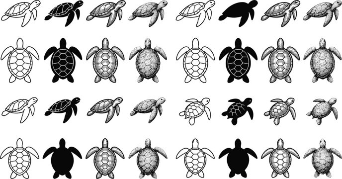 Sea Turtle Silhouette and Line Art Icon Set with Various Detailed Textures and Patterns for Marine Conservation and Ocean Design Vectors
